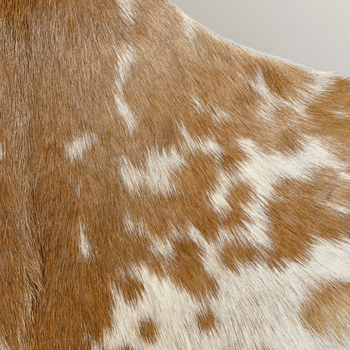Natural Goat Hide (Tan)