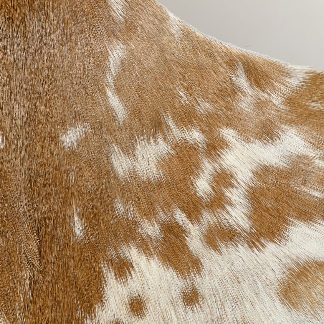 Natural Goat Hide (Tan)