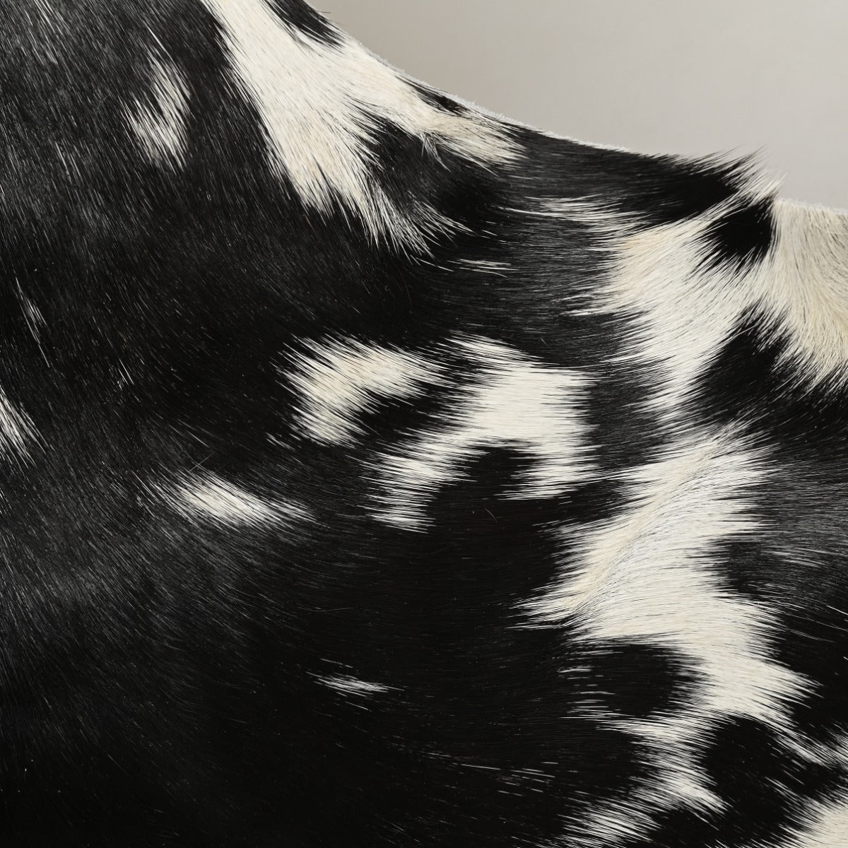 Natural Goat Hide (Black)