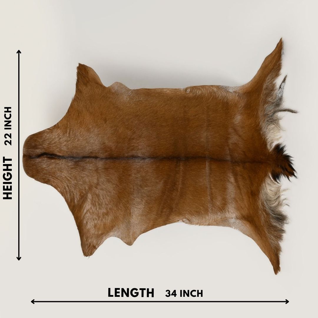Natural Goat Hide (Brown)