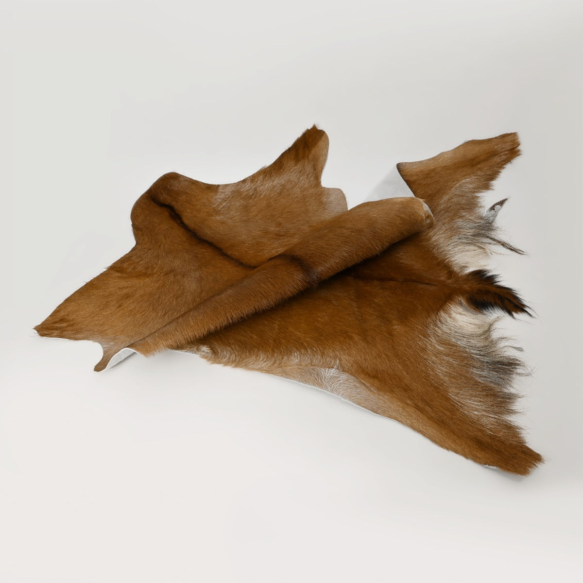 Natural Goat Hide (Brown)