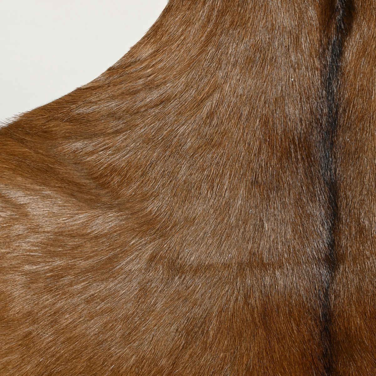 Natural Goat Hide (Brown)