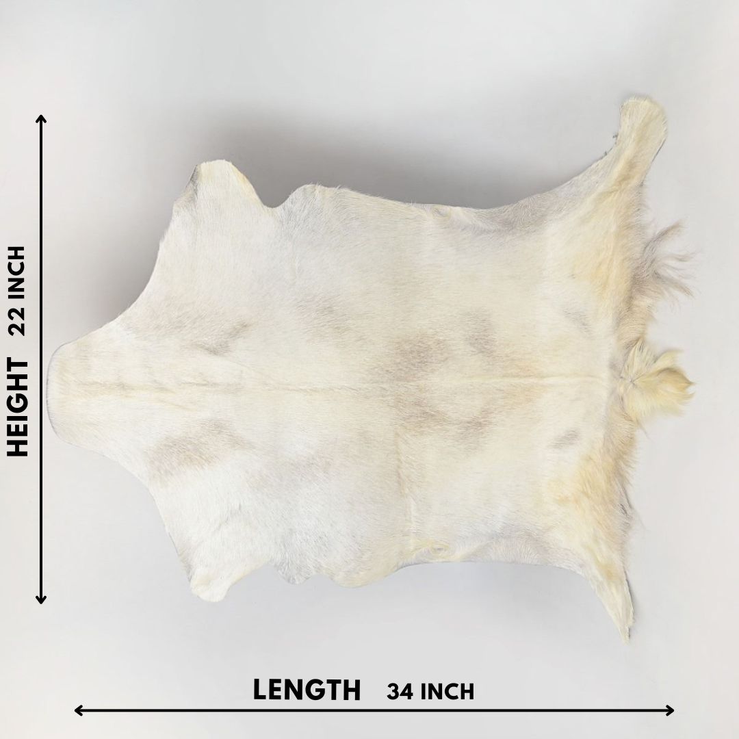 Natural Goat Hide (White)